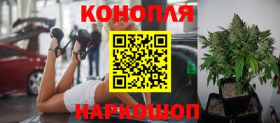 ГАЛЛЮЦИНОГЕННЫЕ ГРИБЫ Камышлов