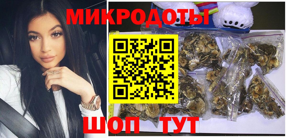 как найти наркотики  Псилоцибиновые грибы ЛСД  Вход с VPN  Заречный 