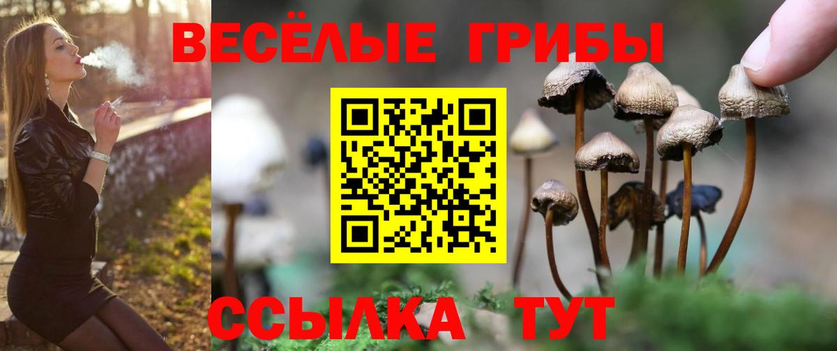 Галлюциногенные грибы мухоморы Заречный
